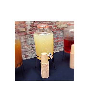 Notre Citronnade bio maison (Fontaine en verre)